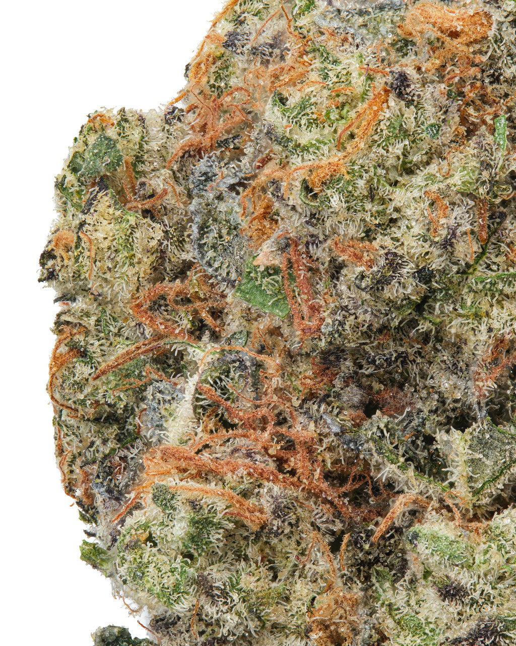 Gary Payton THCa Flower